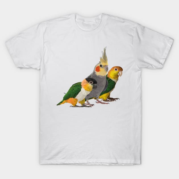 Caique and nymph T-Shirt by obscurite